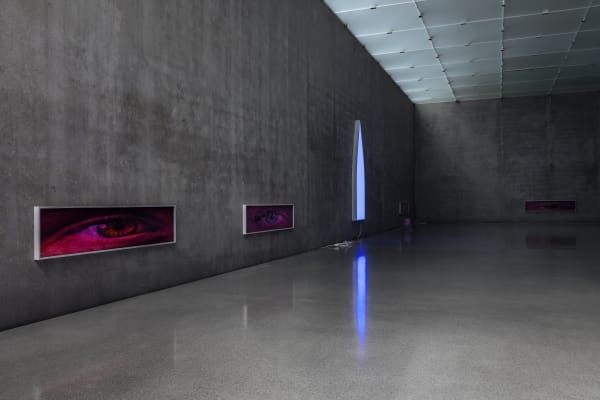 Pamela Rosenkranz House of Meme Ausstellungsansicht EG, Kunsthaus Bregenz, 2021 Foto: Markus Tretter Courtesy of the artist © Pamela Rosenkranz, Kunsthaus Bregenz