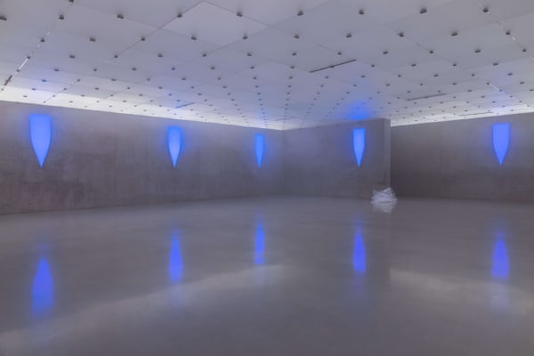 Pamela Rosenkranz House of Meme Ausstellungsansicht EG, Kunsthaus Bregenz, 2021 Foto: Markus Tretter Courtesy of the artist © Pamela Rosenkranz, Kunsthaus Bregenz