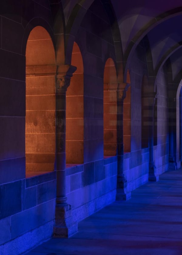 Pamela Rosenkranz Alien Blue Light 2018 Fraum Nster 3