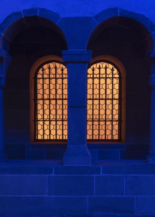 Pamela Rosenkranz Alien Blue Light 2018 Fraum Nster 5