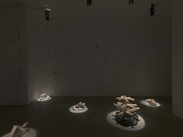 Ser Serpas What We Need Is Another Body 2019 Truth And Consequences 2