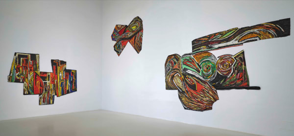 Vista Sala Exposicion Vivian Suter 9 1