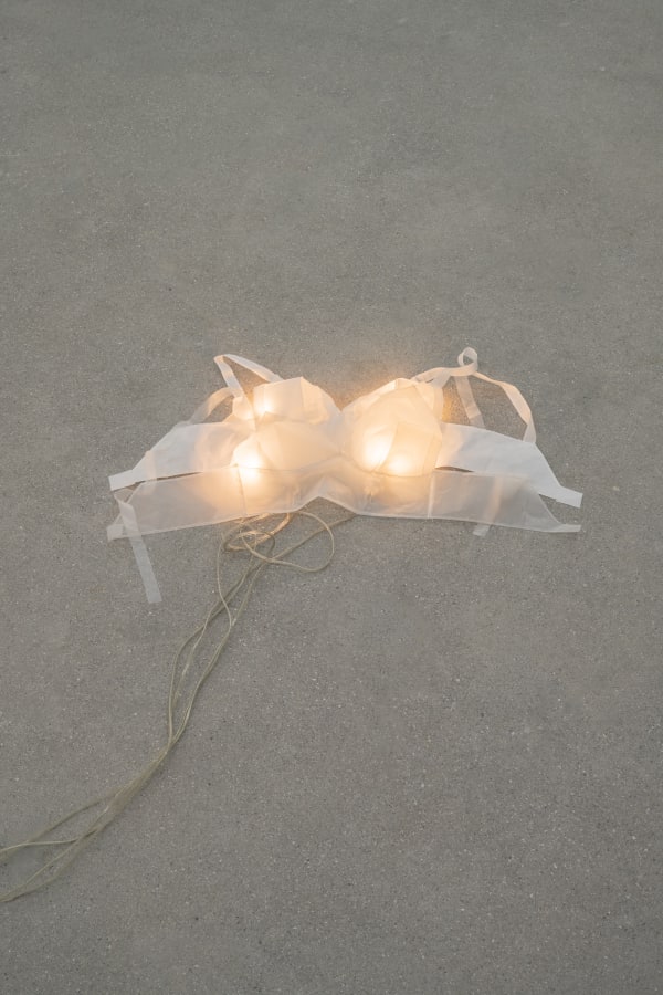 M Lanie Matranga Repro Karma Int 13 12 0690 Hdr