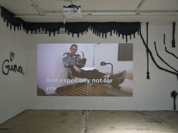 Si Installation Fischli 23