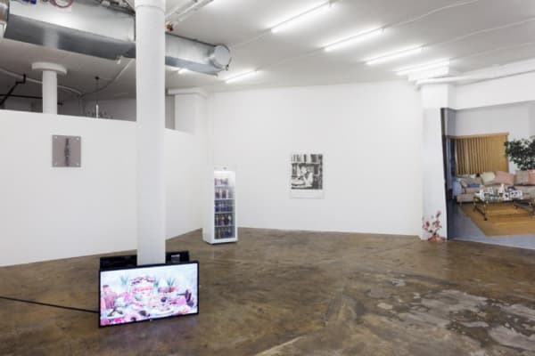 Group Show Cherry Picking 2013 Karma International Zurich 1