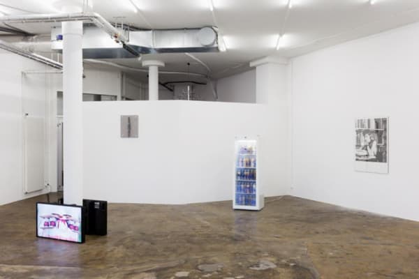 Group Show Cherry Picking 2013 Karma International Zurich 3