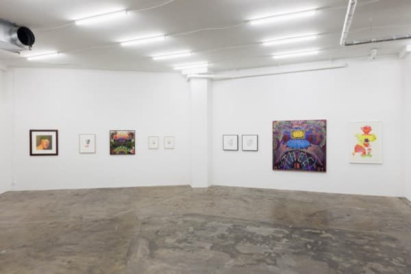 Group Show Chicago Imagists 2013 Karma International Zurich 1