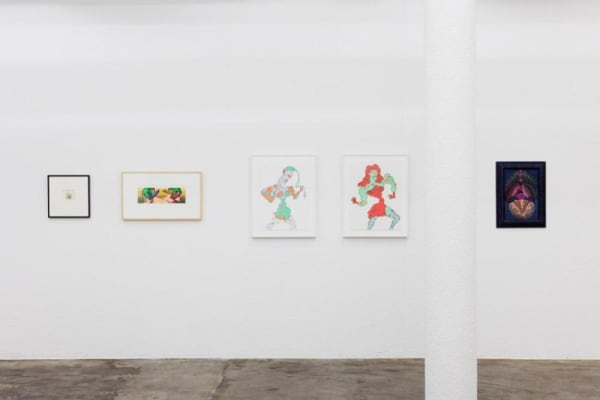 Group Show Chicago Imagists 2013 Karma International Zurich 2