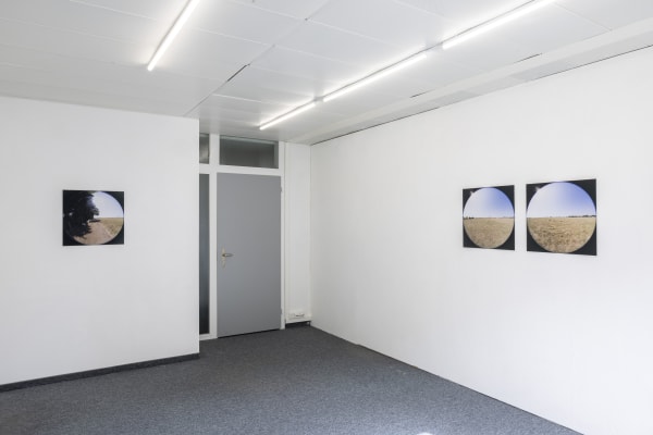 Seven Photos Of Sheep 01 0D6A0754 1 Copy