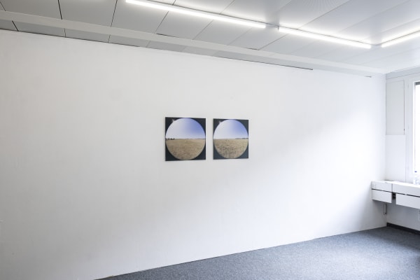 Seven Photos Of Sheep 02 0D6A0763 1 Copy