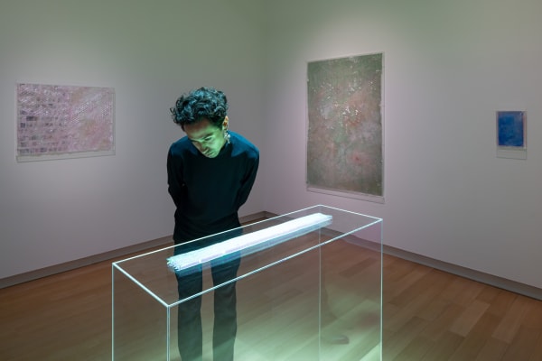 Stedelijk Museum Pamela Rosenkranz Pt Mei 2025 6058 2 Web