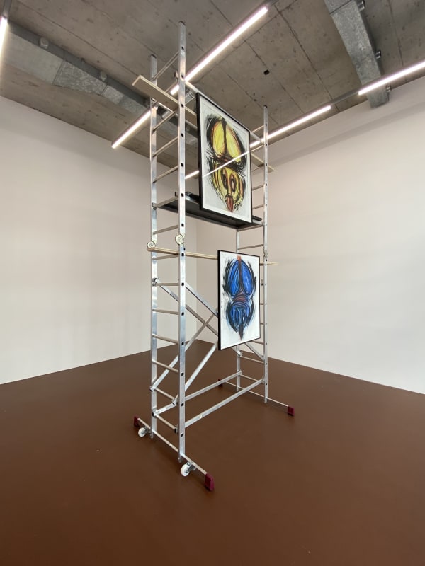 Judith Bernstein