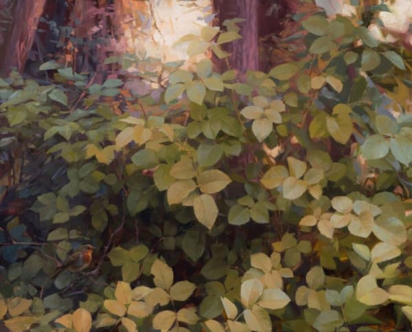 Robin Cole - The Awakening, 2023