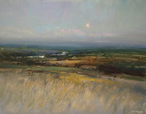 John MacDonald - Evening Shadows