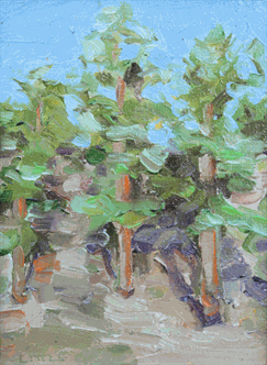 Extended Studies: Studio Painting & Drawing