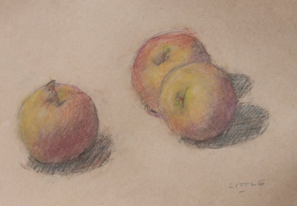 Extended Studies: Drawing