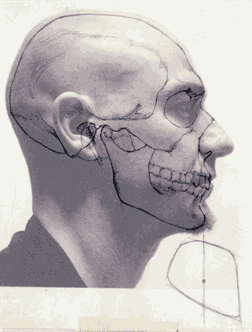 Anatomy for Figurative Artists - View Only I Part I: Skeletal Landmarks
