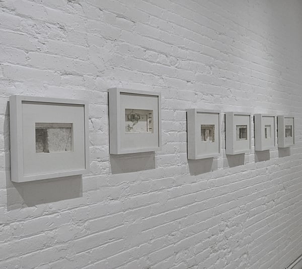Alberto Alejandro Rodriguez, Auriga series installation view