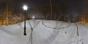 Snow in Central Park 2010 Inkjet Print