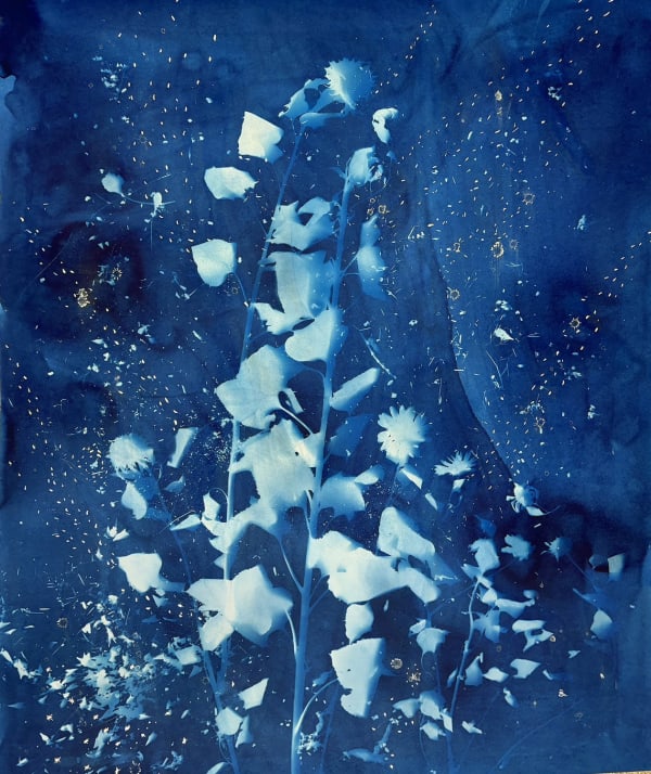Christine Nguyen, Stars, Constellations and Sunflowers (8), 2023