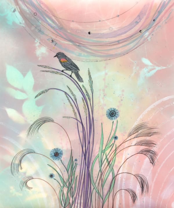 Cosmic Redwinged Blackbird Light