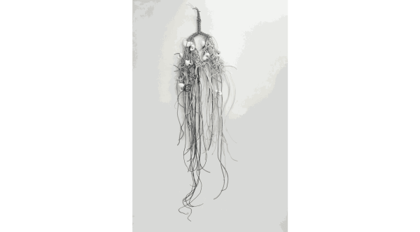 Susana Guerrero, Linea de sangre/ Blood line , 2016