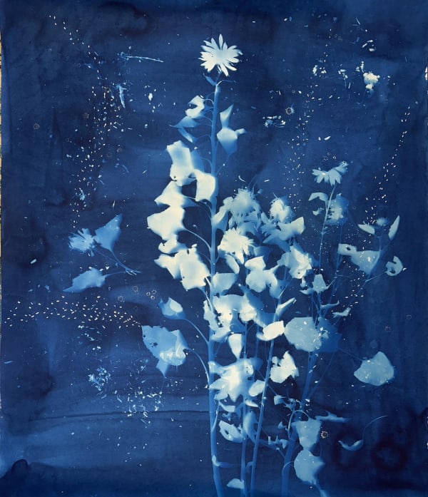 Christine Nguyen, Stars, Constellations and Sunflowers (9) , 2023