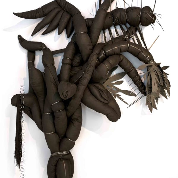Elio Rodriguez, Ceiba Negra #1 , 2009