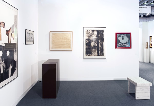 The Armory Show 2012