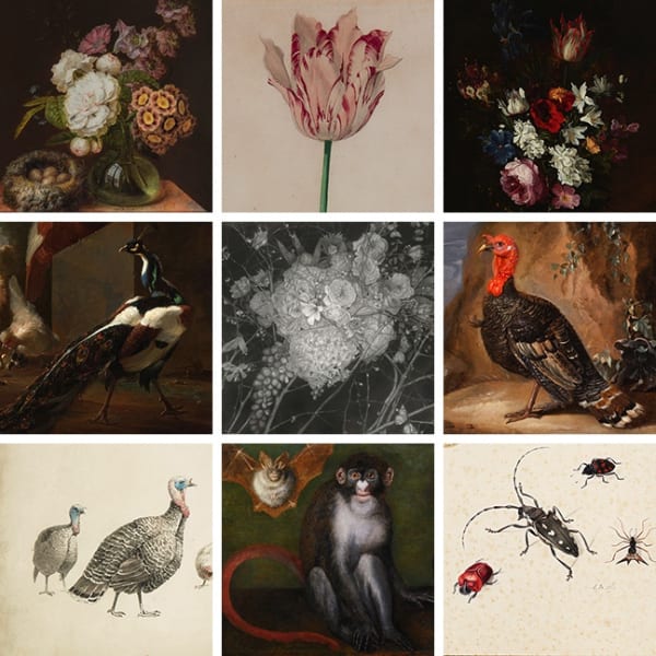 Image collage for PAINTING VS DRAWING 1569-2017 exhibition