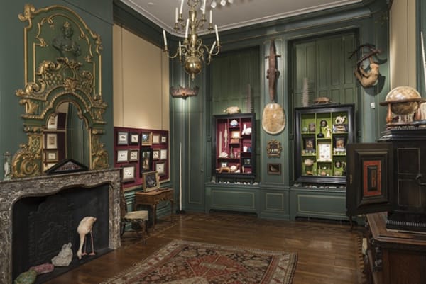 Image of Installation at CABINET OF CURIOSITIES 2014