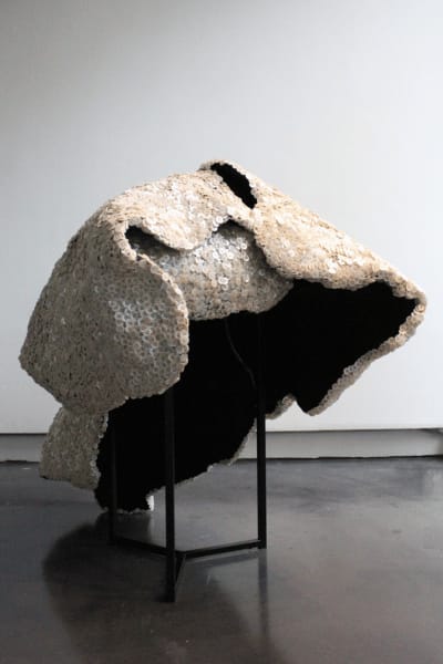 Jean Shin