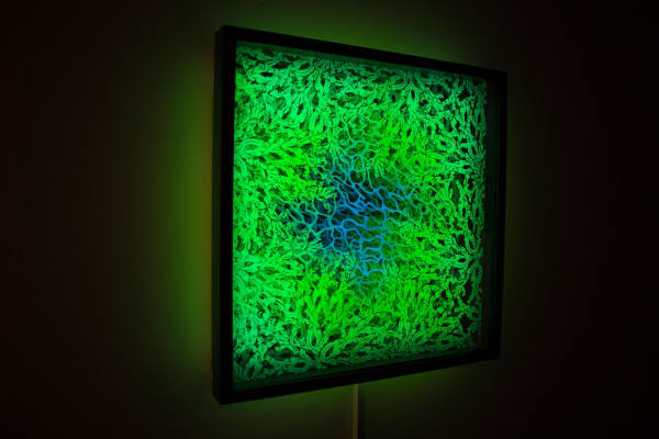 Infinite Hide and Sea, 2021