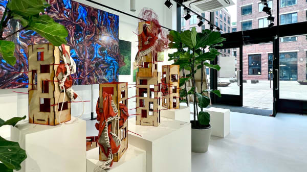 Once Lotus Exhibition 25