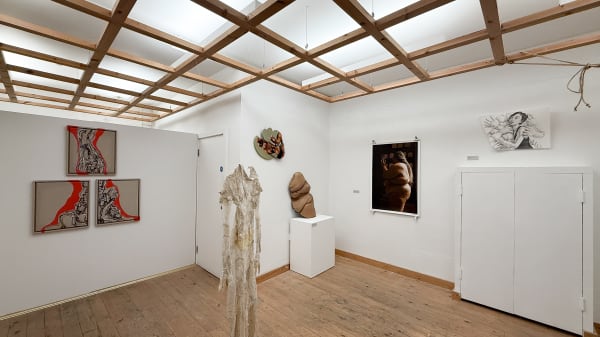 Anatomy Of Disobedience Install 05