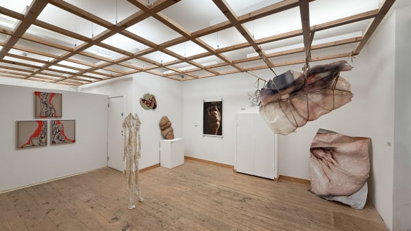 Anatomy Of Disobedience Install 07