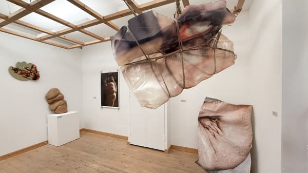 Anatomy Of Disobedience Install 10