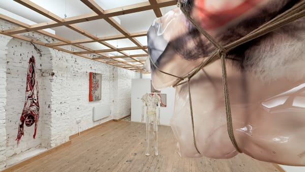 Anatomy Of Disobedience Install 11