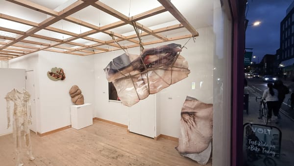 Anatomy Of Disobedience Install 12