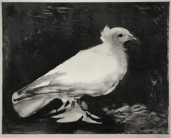 Pablo Picasso - la Colombe, 1949