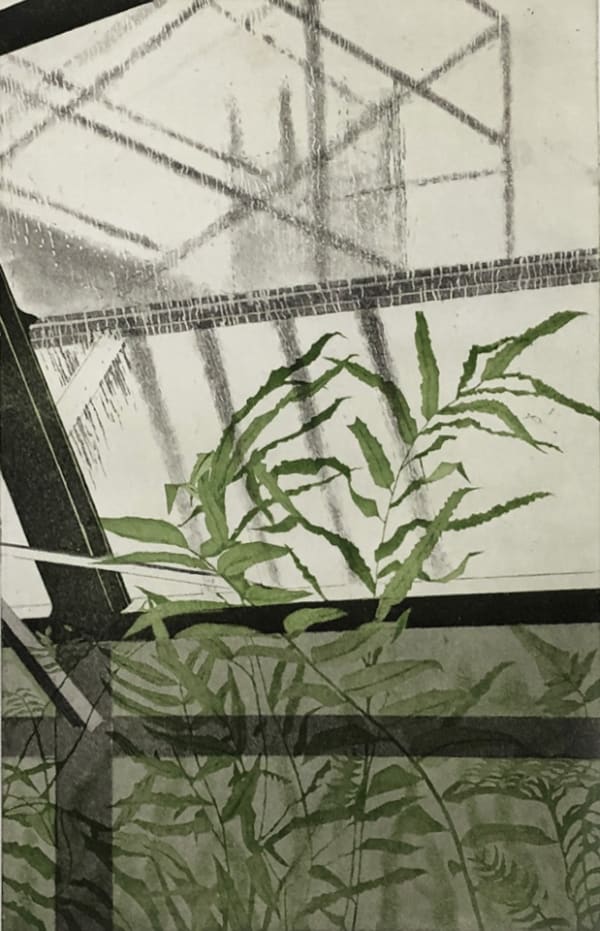 Tessa Beaver - Palm House in the Rain