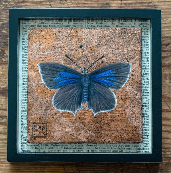 Purple Hairstreak by Doda Smith