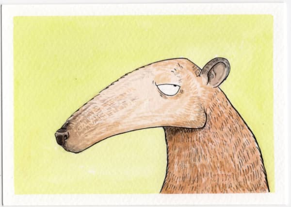 buy art by Artist Gary Miller, Giddy Monster, highlands Scotland Scottish watercolour ink animal stylized humerous alchemist gallery dingwall theres no ants in my pants