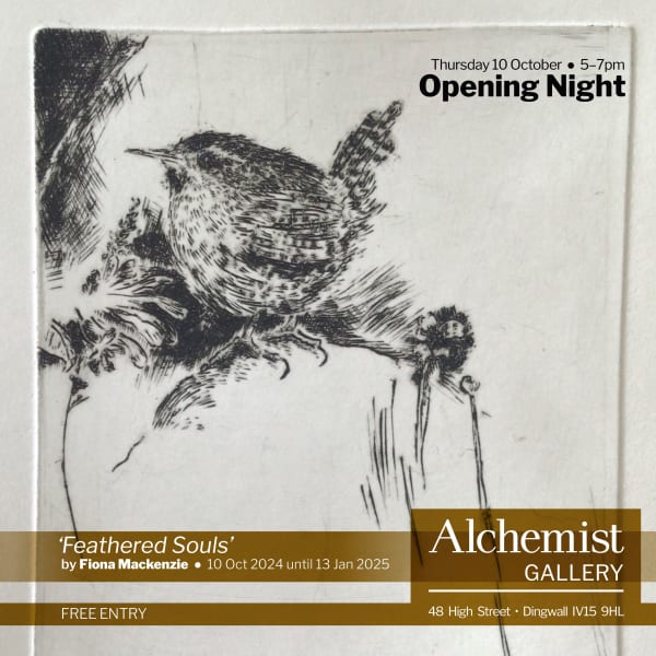 fiona mackenzie art artist scotland scottish exhibition feathered souls alchemist gallery dingwall opening night