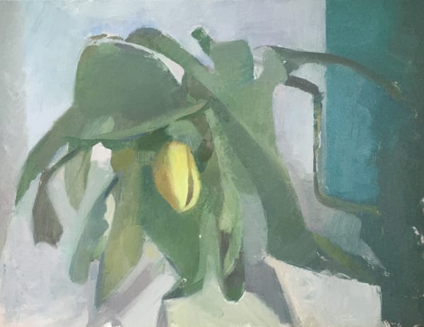 Colour and Shape in Nature: 1-day workshop with Clare Haward