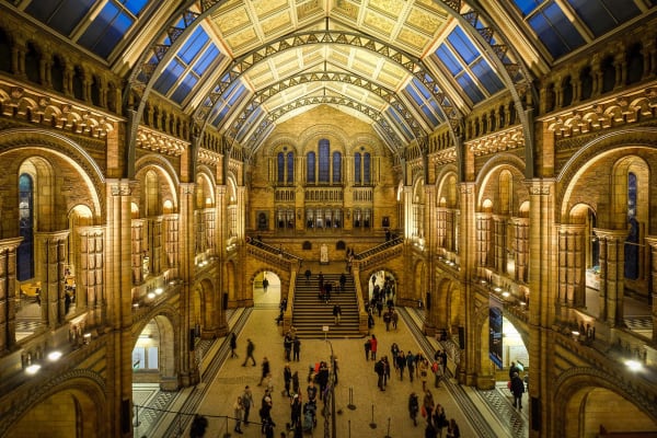 Inspired by museum objects: 1-day workshop with Neil Pittaway