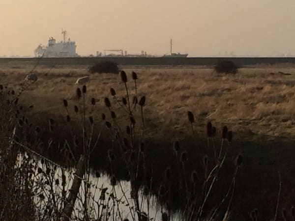 North Kent Marshes photo 1 by Louise Balaam