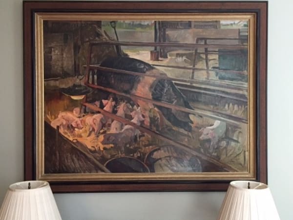 Sow and piglets