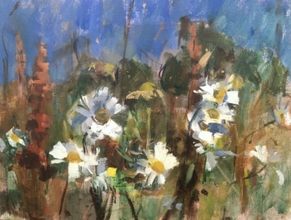 Oxeye Daisies 4