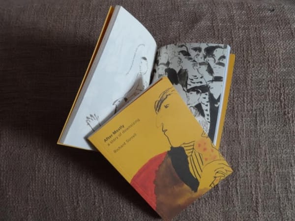 'After Mostly, a story of Downsizing', a riches-to-rags story.